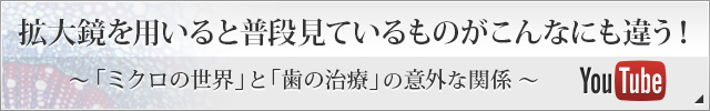 拡大鏡を用いると普段見ているものがこんなにも違う！ 「ミクロの世界」と「歯の治療」の意外な関係